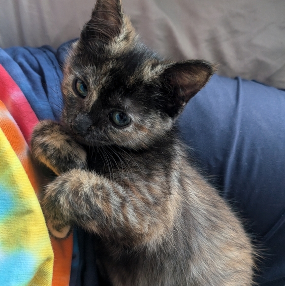 Meet your Posher, Edythe - Picture 1 of 1